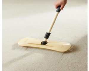 جارو نپتون شش محور اندیشه
